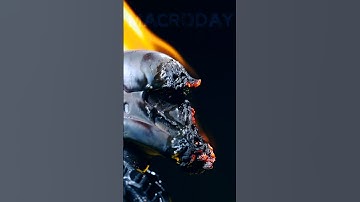 #macro #macrovideo #asmr #closeup #supermacro #satisfying #macrophotography