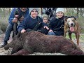 Hunting wild pigs with the family