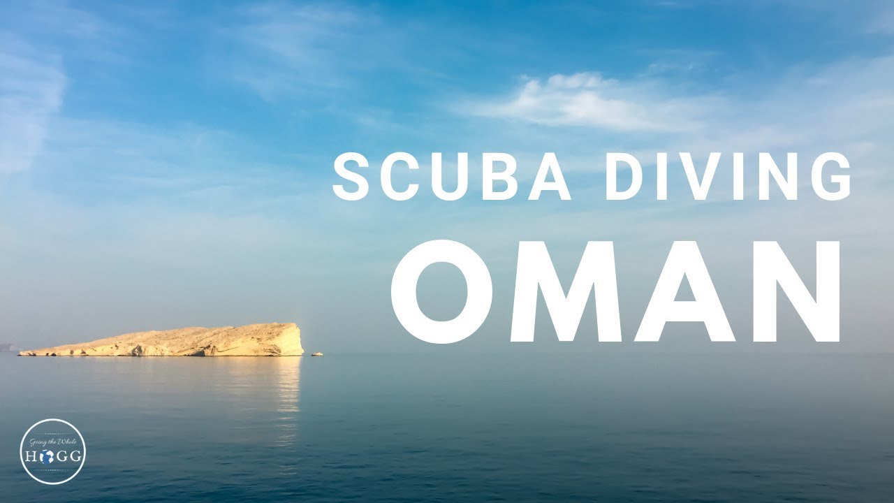 Scuba Diving Oman (Extra Divers Qantab) YouTube