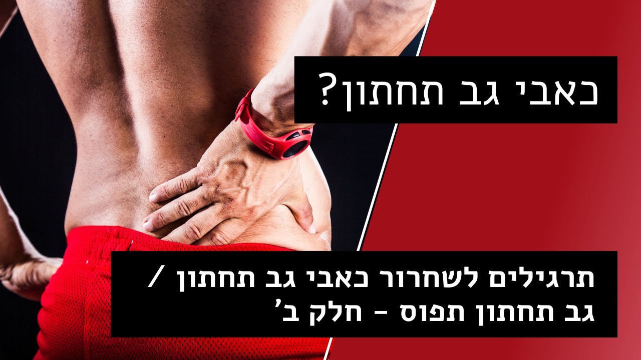 כאב גב תחתון | תרגילים לשחרור גב תחתון תפוס | כאבים כרוניים בגב תחתון | חלק ב' | עמיר שפר