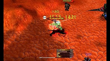 Feral vs RPal. Mock from Molten-WoW