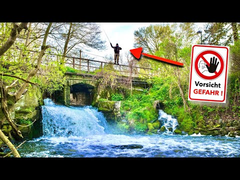 Lost Place Fishing ESCALATES TOTALLY…‼️