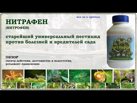 Нитрафен (Нитрофен) - универсальное средство от всех болезней и вредителей сада. Стоит ли купить?