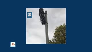 Revive Restore Your Corrosion With Zinga Products Galvanising System Zingatarfree