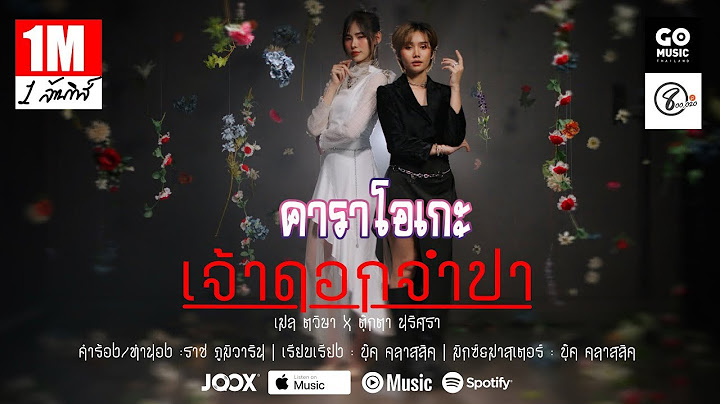 เจ้าดอกจำปา ( ເຈົ້າດອກຈຳປາ )  คาราโอเกะ - เมล ตวิษา x ตุ๊กตา นริศรา