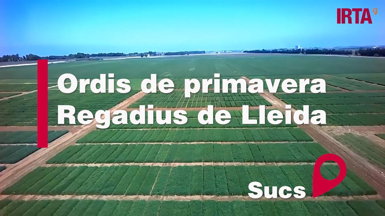 Varietats d’ordi primavera (regadius de Lleida). Campanya 2020-21.