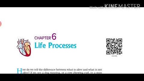 Biology class 10 chapter 6 life processes video 6, Amrit Indo Canadian Academy