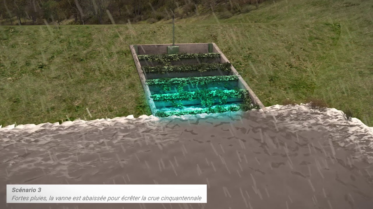 Le fonctionnement d'un ouvrage de ralentissement des crues