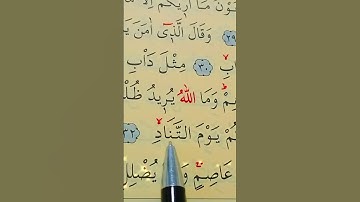 سورة غافر الأية 31 إلى 33 بصوت سعد الغامدي