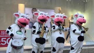 Sambasiesta Sütaş Bandosu Nişantaşı Citys De..