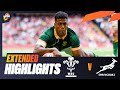 SPRINGBOKS ON FIRE 🔥  | Wales v South Africa | Extended Highlights | Summer Nations Series