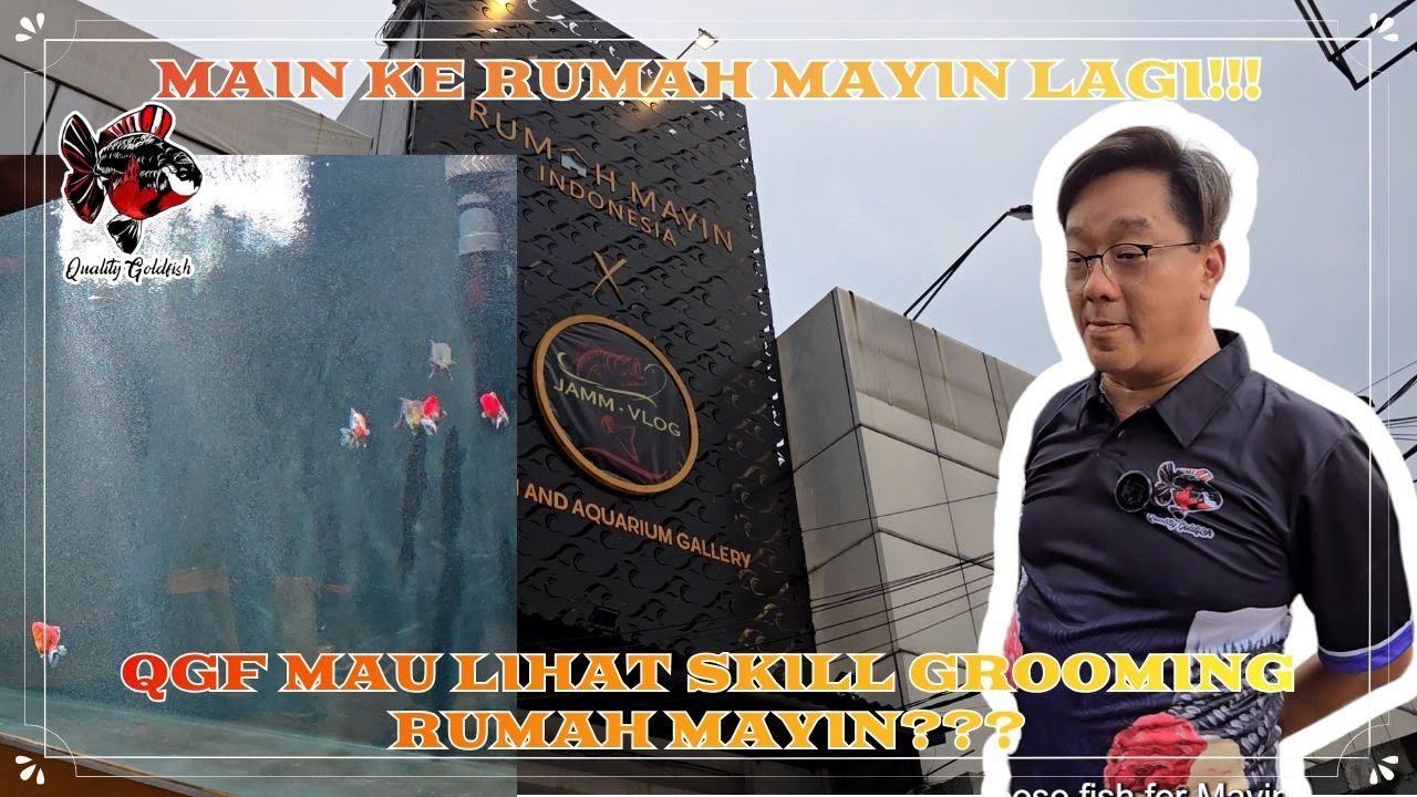 MAIN KE RUMAH MAYIN LAGI!!! QGF MAU LIHAT SKILL GROOMING RUMAH MAYIN???