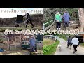【76歳ヤギ飼い#44】2か月半お手伝いをしてくれた相棒「72歳からの楽しいシニアライフ#77」