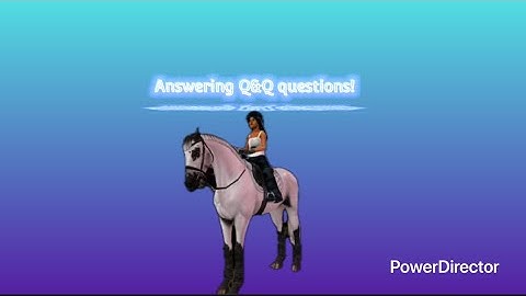 ꙳Answering your Q&A questions!꙳ ꙳Part 1꙳ ꙳Read Description꙳