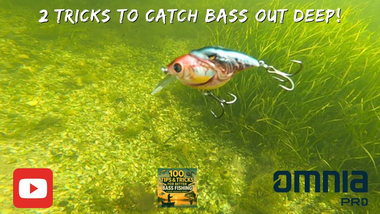 Deep Structure Bass Fishing Made Simple – 2 Must-Know Tricks (Day 15)