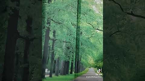 TRANH DÁN TƯỜNG 3D HÀN QUỐC