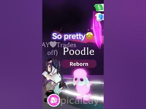 Making a neon poodle in Adopt Me!🤍🐩 - YouTube