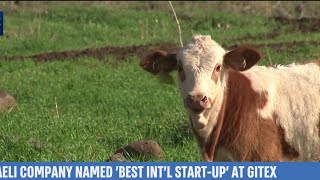 'Beefree Agro' Transforms Livestock Herding With Drones, AI