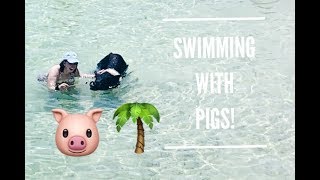 Swimming with Pigs in the Bahamas! | Perfect Day Coco Cay Royal Caribbean