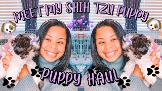 MEET MY SHIH TZU PUPPY + PUPPY HAUL ✨