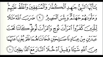 سورة التحريم؛ من الآية 6 إلى 12؛ شيخ الزين