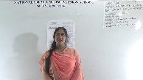 Class: Five,  Subject: Elementary Science (Lecture- 12, H.W: 11), Topic: Ch-14, C/B/Q and Answer