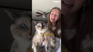 college student comes home help her cat lose weight dodo