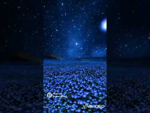 رحلة الضوء بصوتي انا نرجس