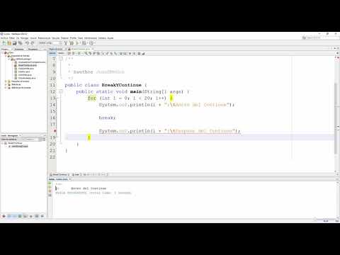Video: ¿Se puede usar Break en la instrucción if en Java?