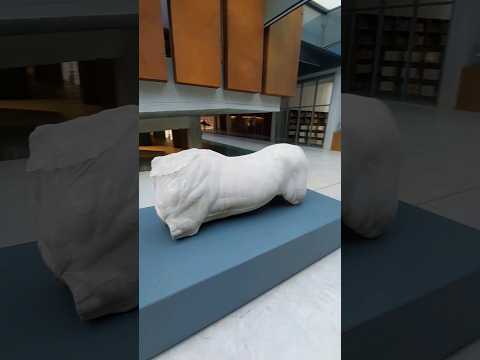 Video: Anatomisk museum. Sjokkerende utstillinger fra verdens anatomiske museer