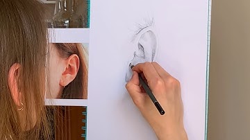 How to Draw an Ear | Free Portrait Drawing Lesson for Adults & Children – Hannah Ostapjuk