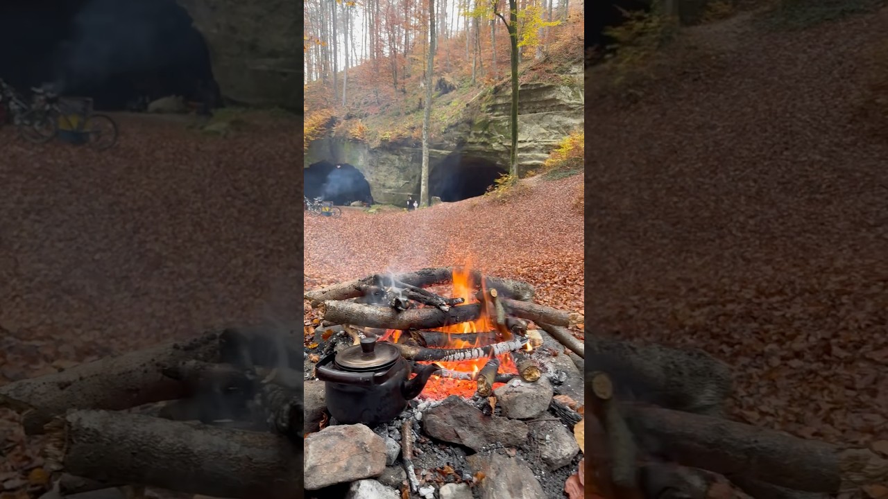Aargau/ Schweiz  #nature #beautiful #switzeland #love #trend #shortvideo #travel