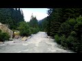 Relaxing River Sounds - Peaceful Forest River - Nature Video. Calming river waves