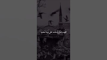 إن الله وملئكته يصلون على النبي.. بصوت سعد الغامدي اجمل حالات واتس اب دينية سورة الأحزاب 🌿💙