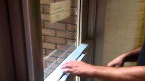 EL dogging video.AVI