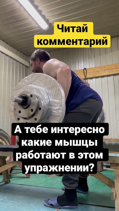 Тяга штанги в Наклоне обратным хватом. #shorts - YouTube