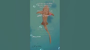 تلاوة خاشعة عطرة مباركة جميلة عذبة للشيخ ماهر المعيقلي ماتيسر من سورة الأعلى