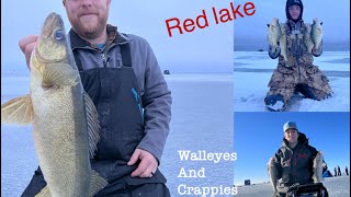 Red Lake First Ice Walleyes