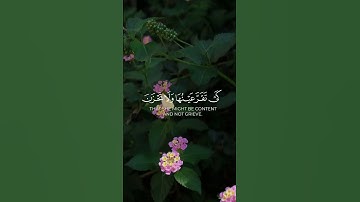 فرددناه إلى أمه كي تقر عينها #سورة_القصص #بصوت_ماهر_المعيقلي #قرآن #حالات_واتس #راحة_نفسية