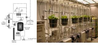 The Biology Of Growing Plants Under Low Pressure Hypobaric Systems For Nasa