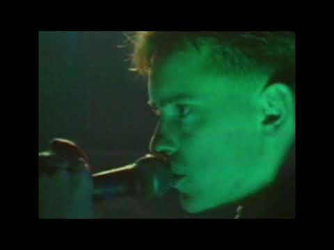 New Order - Everything'S Gone Green