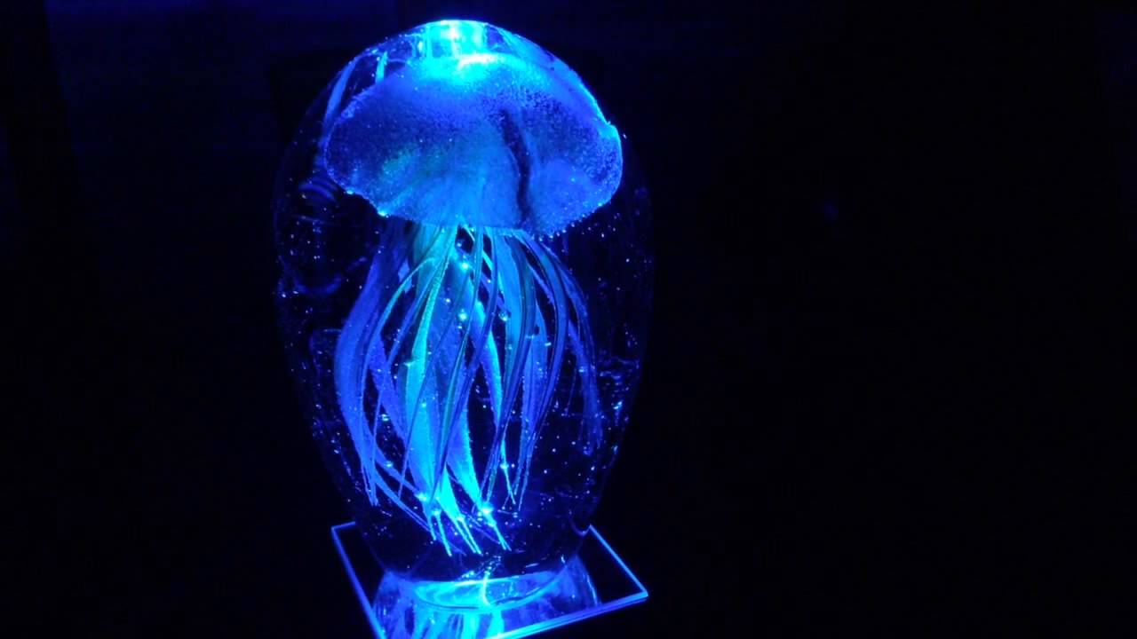 Jellyfish in Glass YouTube