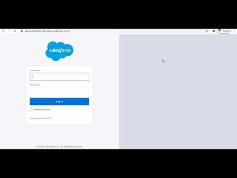 Grant Login Access to Administrators in Salesforce