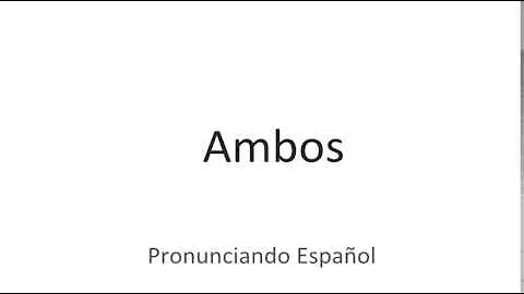 Como usar ambos ou ambos os?