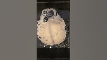 How to clean your garbage disposal | CLR Brands #clr