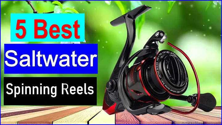 Top 5 Best Saltwater Spinning Reels 2025 | Best Spinning Reels - Buy Now