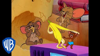 Tom & Jerry In Italiano 🇮🇹 | I 10 Migliori Momenti Di Jerry Il Topo 🐭 | @Wbkidsitaliano​