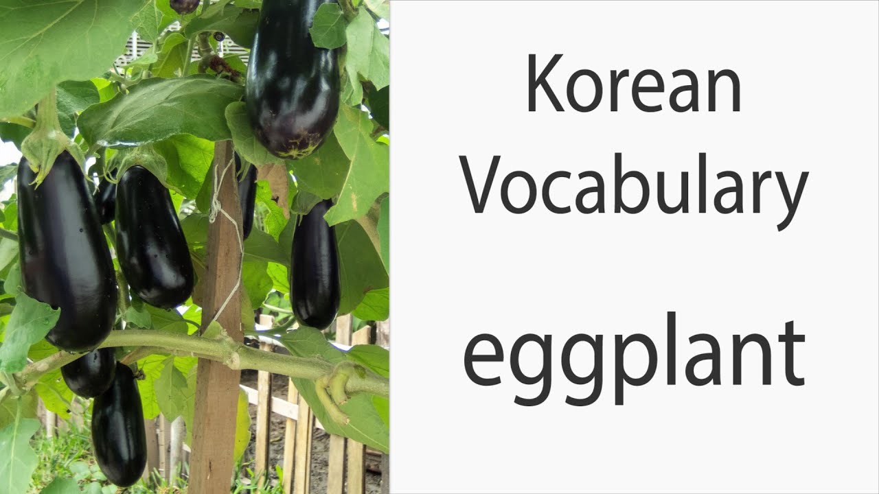 How to say "Eggplant" in Korean YouTube