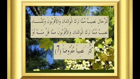 القران الكريم سورة النساء الأية 7.wmv