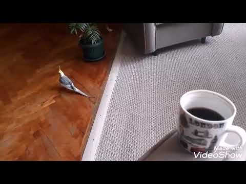 #თბილისისზღვა